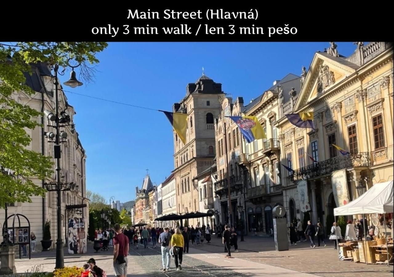 E1 Luxury Oldtown Apt - 2X Parking, Foodstore, Pcscreen, Netflix, Unlimited Music, Crib, Babychair, Fastwifi, Aircon Кошице Екстер'єр фото